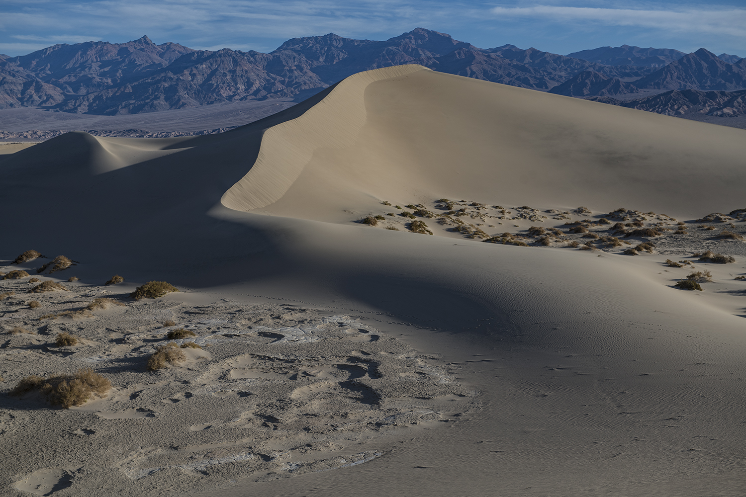 Mesquite Dunes Death Valley 0388